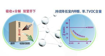 硅藻泥是什么?_360问答